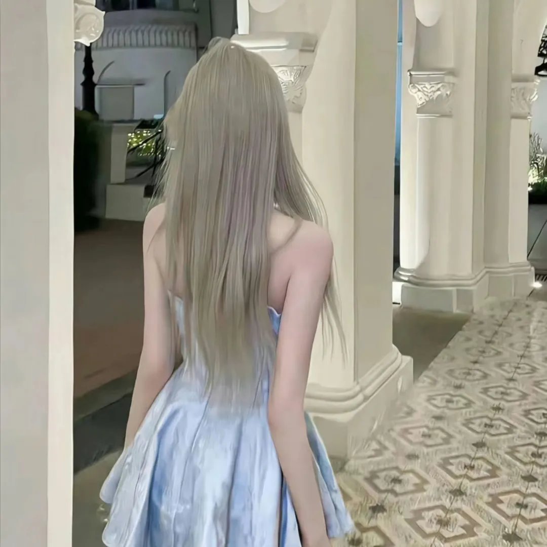假元首秘纪